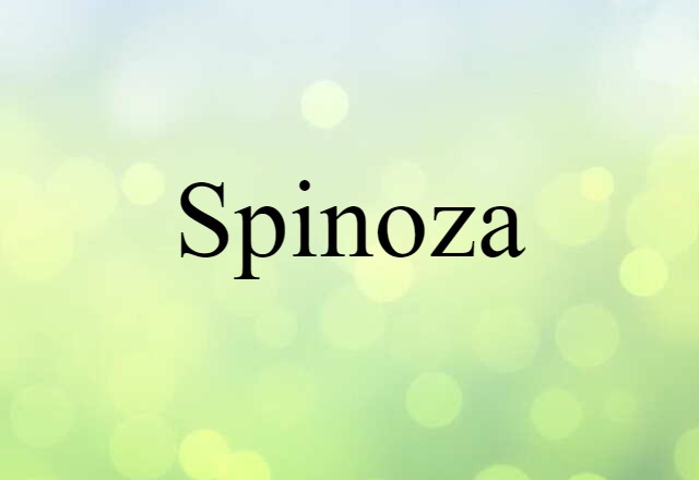 Spinoza (noun) Definition, Meaning & Examples