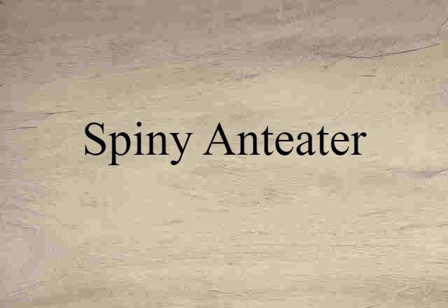 Spiny Anteater (noun) Definition, Meaning & Examples