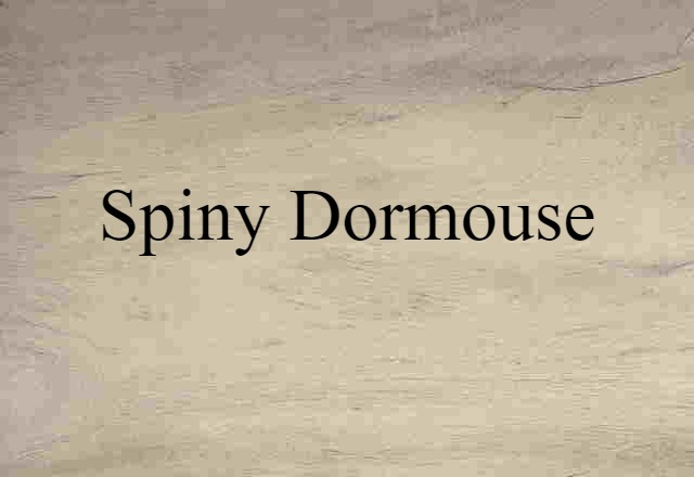 spiny dormouse