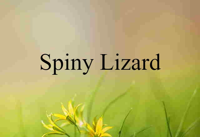 Spiny Lizard (noun) Definition, Meaning & Examples