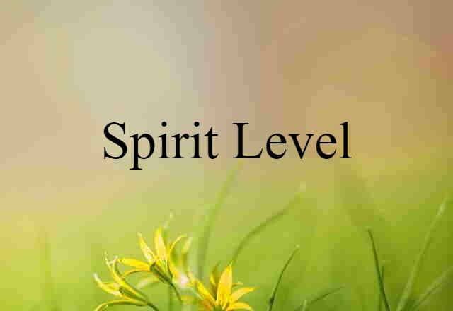 Spirit Level (noun) Definition, Meaning & Examples