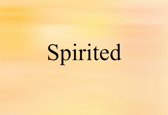 Spirited (noun) Definition, Meaning & Examples