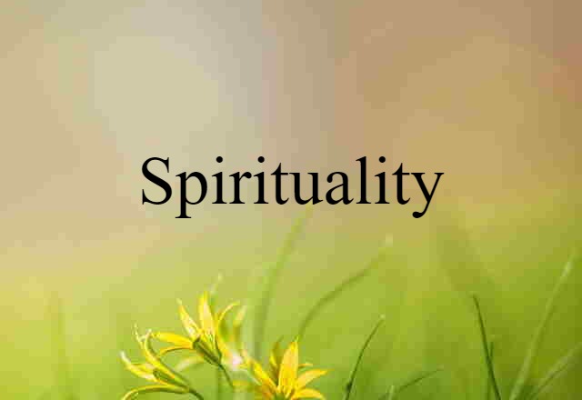 Spirituality (noun) Definition, Meaning & Examples