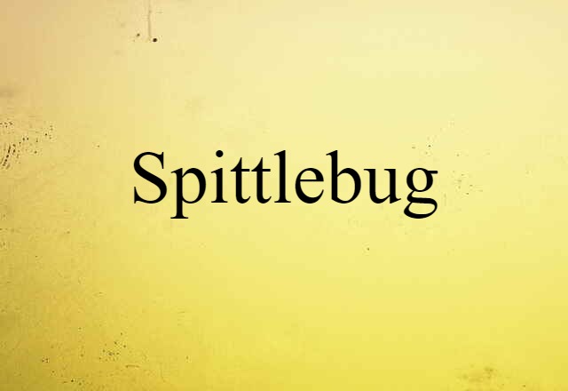 spittlebug