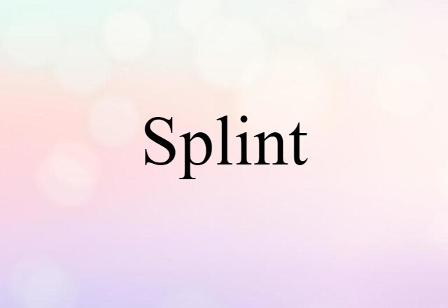 Splint (noun) Definition, Meaning & Examples