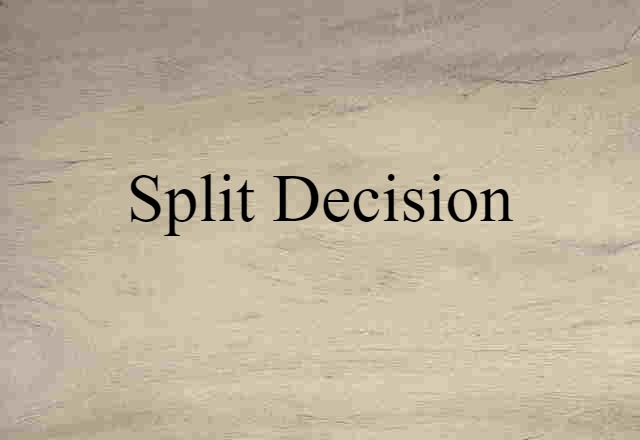 Split Decision (noun) Definition, Meaning & Examples