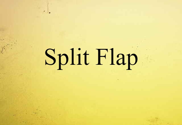 Split Flap (noun) Definition, Meaning & Examples