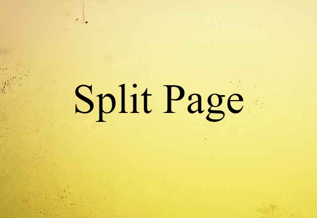 Split Page (noun) Definition, Meaning & Examples