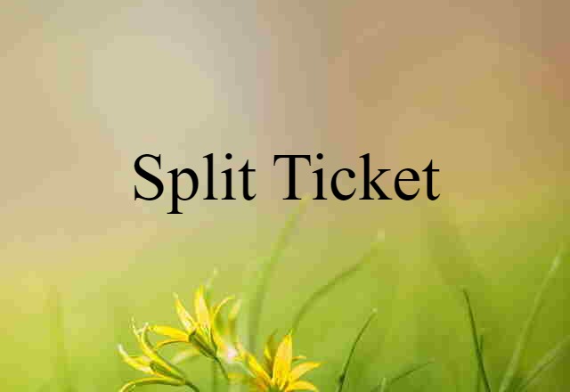 Split Ticket (noun) Definition, Meaning & Examples