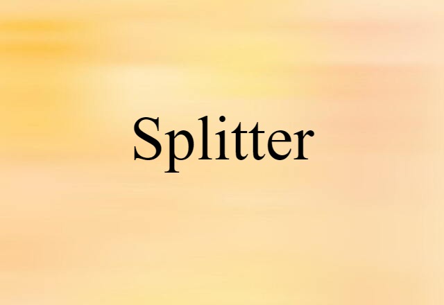 Splitter (noun) Definition, Meaning & Examples