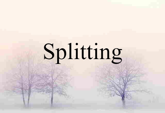 Splitting (noun) Definition, Meaning & Examples