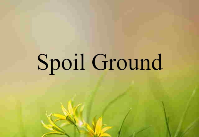 Spoil Ground (noun) Definition, Meaning & Examples