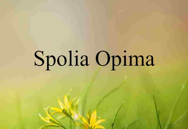 Spolia Opima (noun) Definition, Meaning & Examples