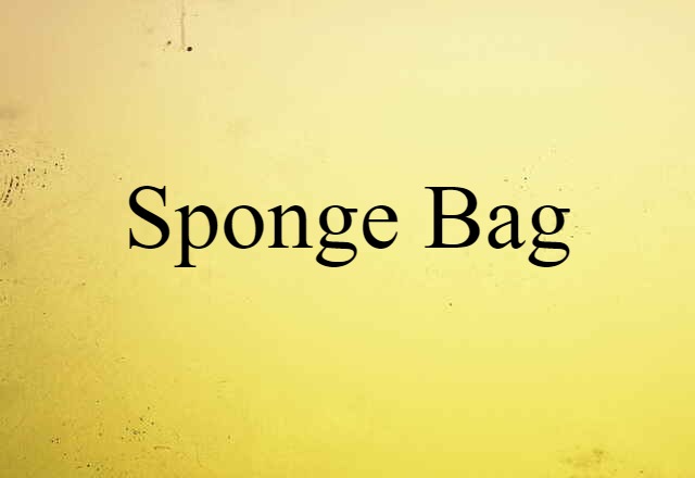 sponge bag