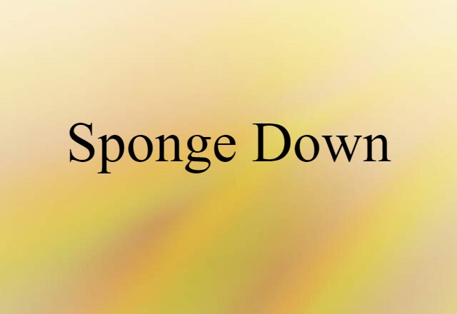 sponge down