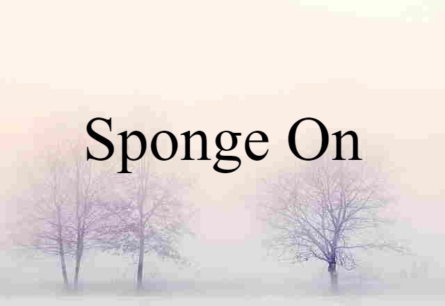 sponge on