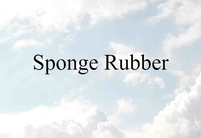 Sponge Rubber (noun) Definition, Meaning & Examples