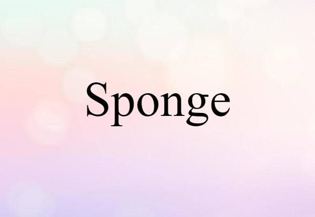 Sponge (noun) Definition, Meaning & Examples