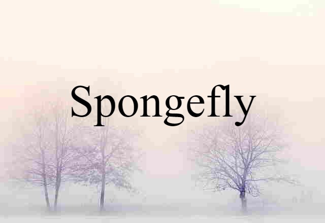 spongefly