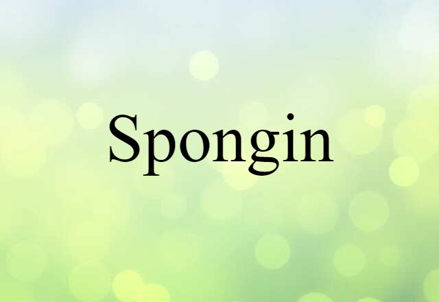 spongin