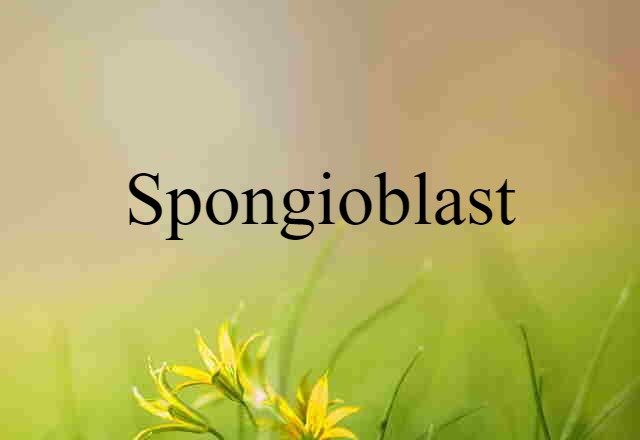 Spongioblast (noun) Definition, Meaning & Examples