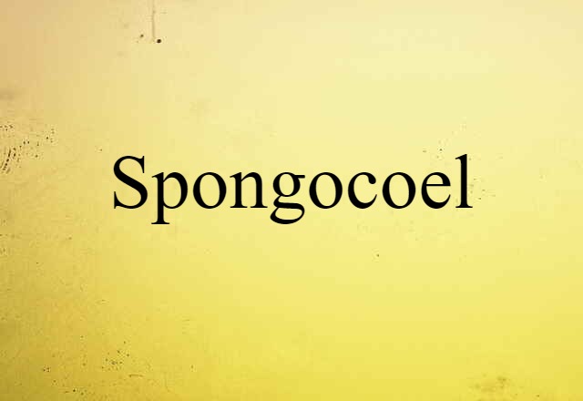 spongocoel