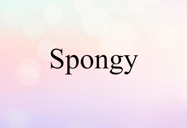 Spongy (noun) Definition, Meaning & Examples