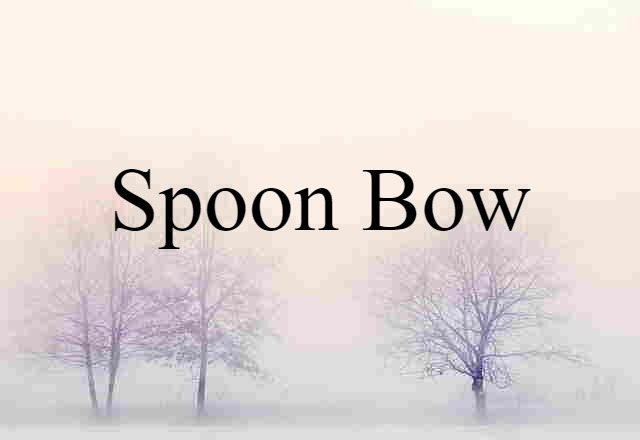 spoon bow