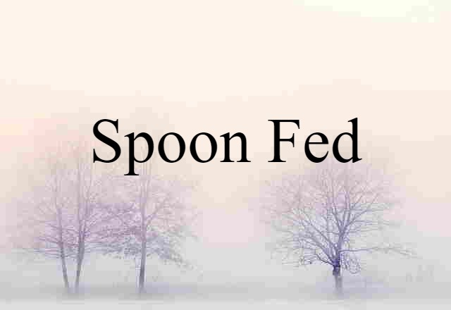 Spoon-fed (noun) Definition, Meaning & Examples