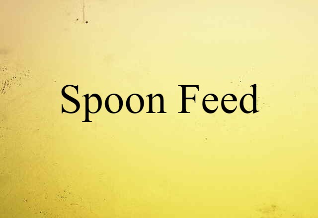 Spoon-feed (noun) Definition, Meaning & Examples