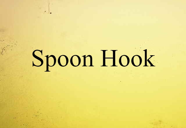 spoon hook