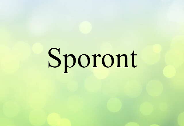 sporont