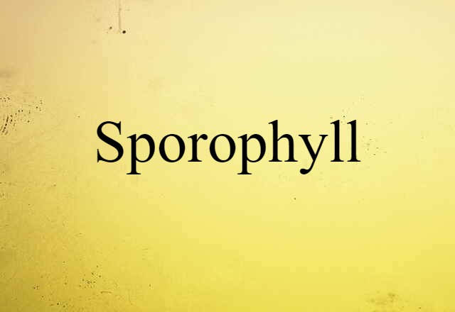 sporophyll