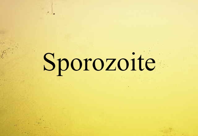 sporozoite