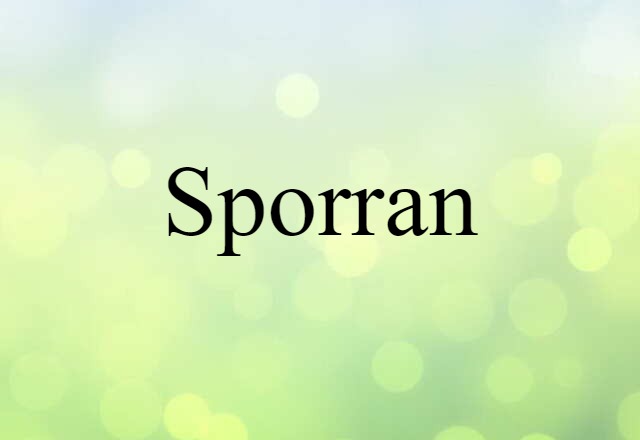 Sporran (noun) Definition, Meaning & Examples