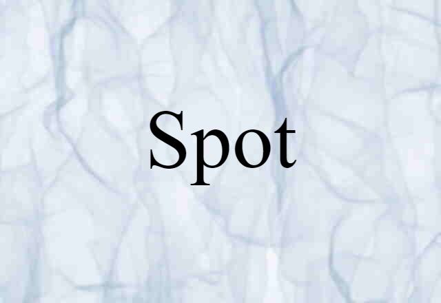 spot