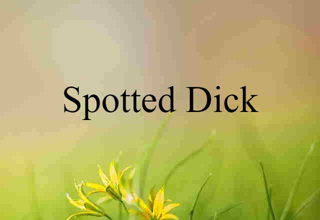 spotted dick