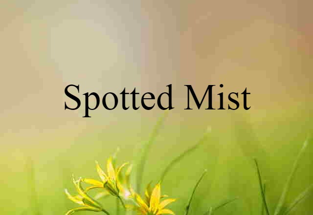 Spotted Mist