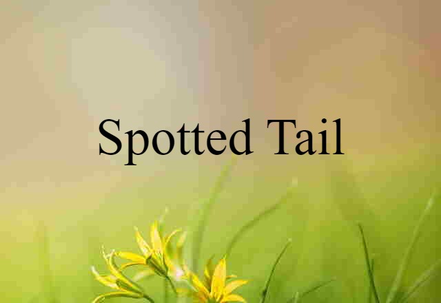 Spotted Tail (noun) Definition, Meaning & Examples