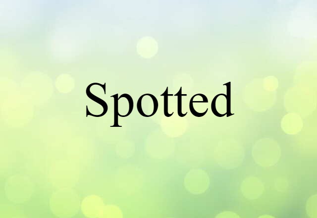 Spotted (noun) Definition, Meaning & Examples