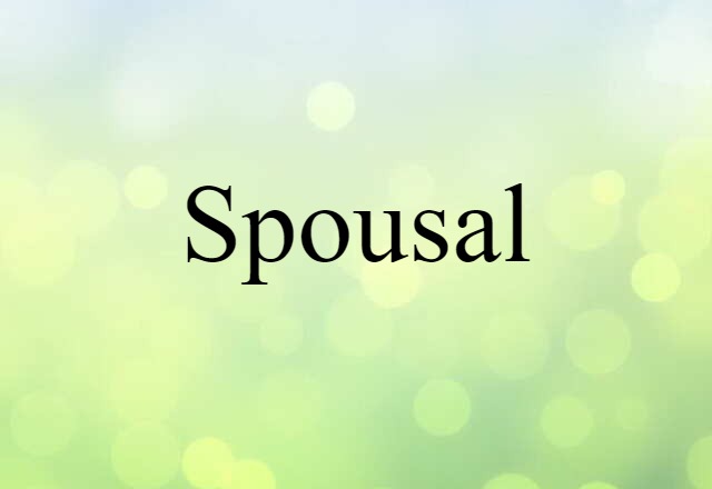 Spousal (noun) Definition, Meaning & Examples