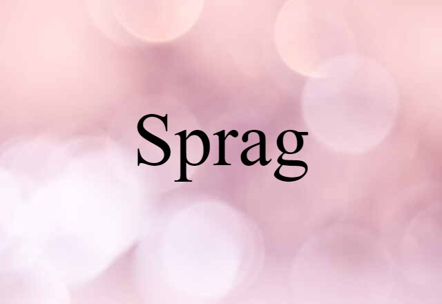 Sprag (noun) Definition, Meaning & Examples