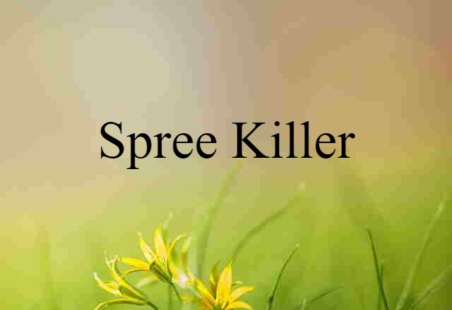 Spree Killer (noun) Definition, Meaning & Examples