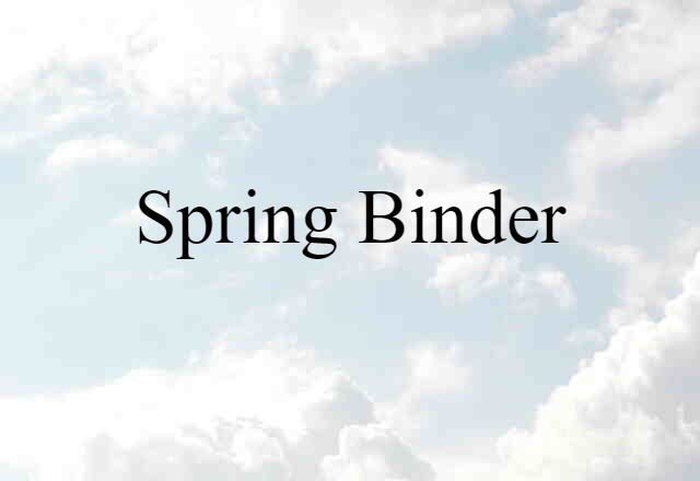 Spring Binder (noun) Definition, Meaning & Examples