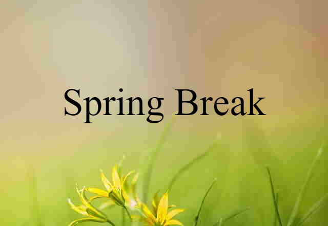 Spring Break (noun) Definition, Meaning & Examples