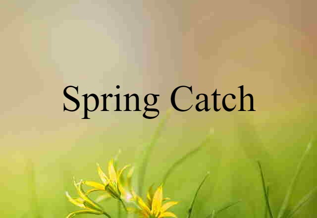 spring catch