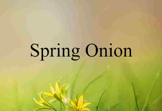 spring onion