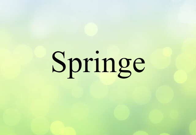 Springe (noun) Definition, Meaning & Examples