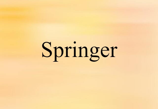 Springer (noun) Definition, Meaning & Examples