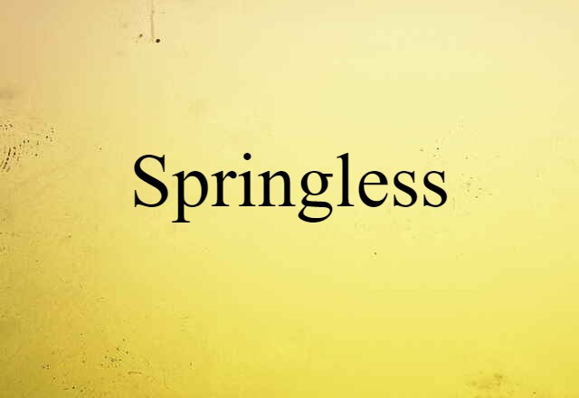 Springless (noun) Definition, Meaning & Examples